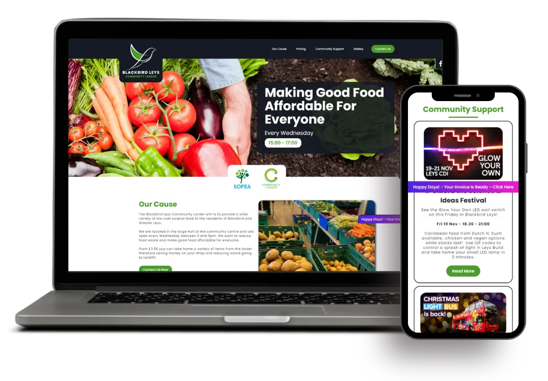 graphical user interface, website