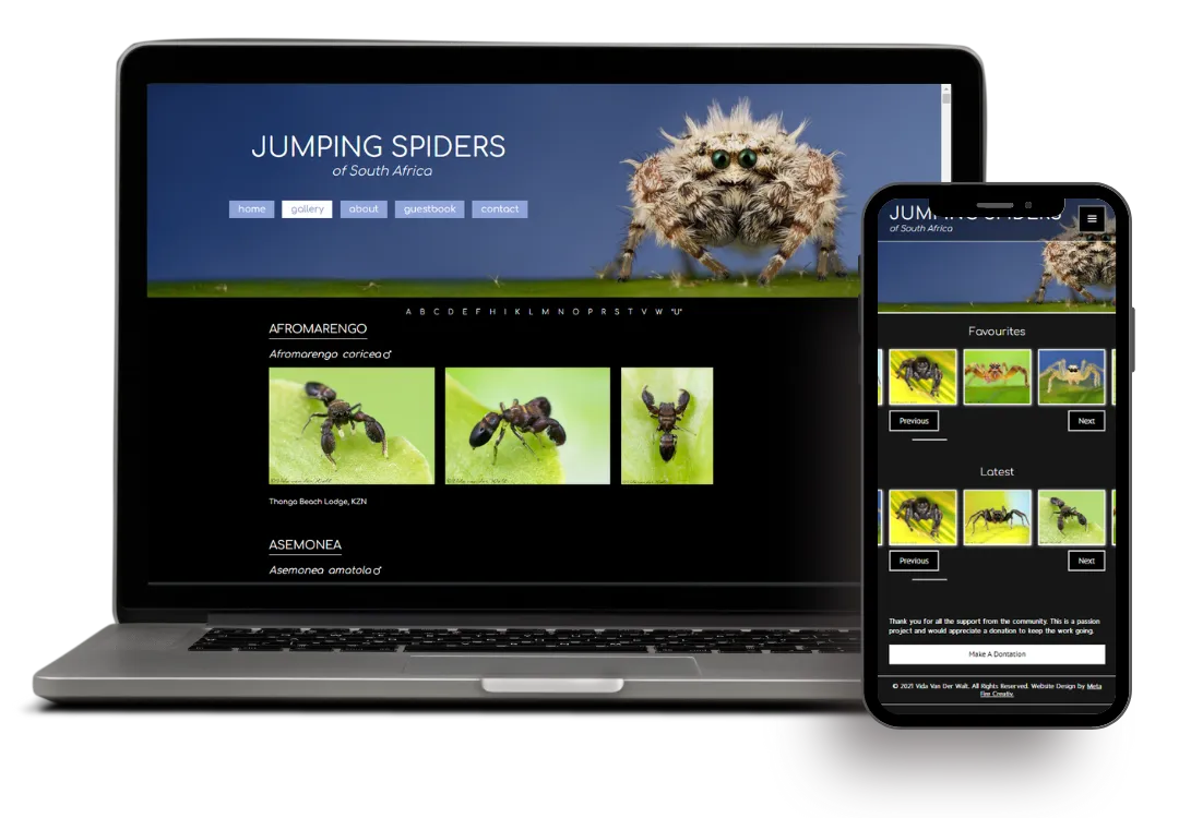 graphical user interface, website