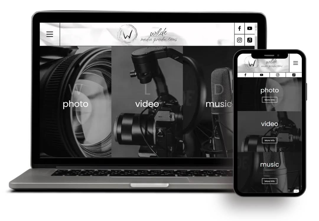 graphical user interface, website